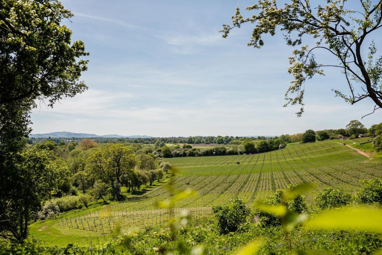 Hencote Vineyard Glamping Village Shrewsbury Exterior foto