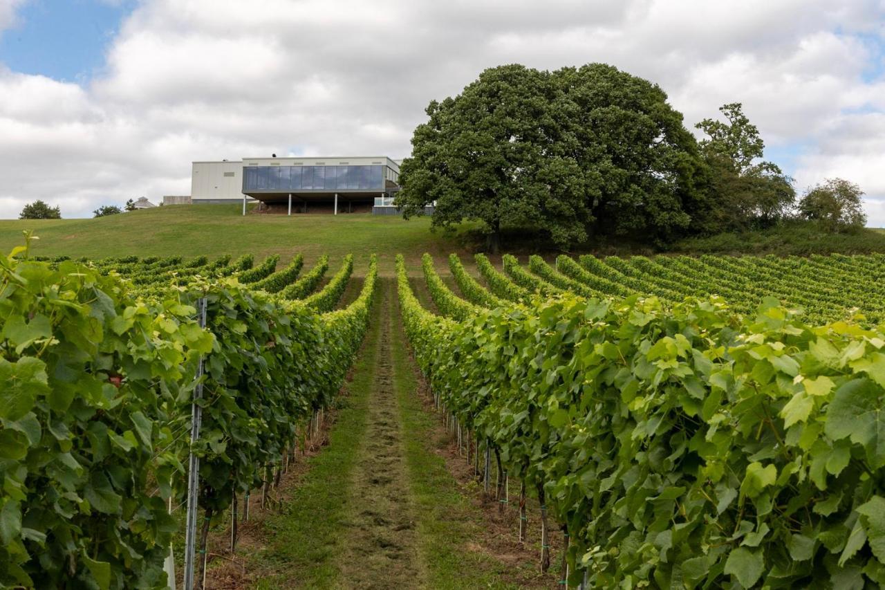 Hencote Vineyard Glamping Village Shrewsbury Exterior foto